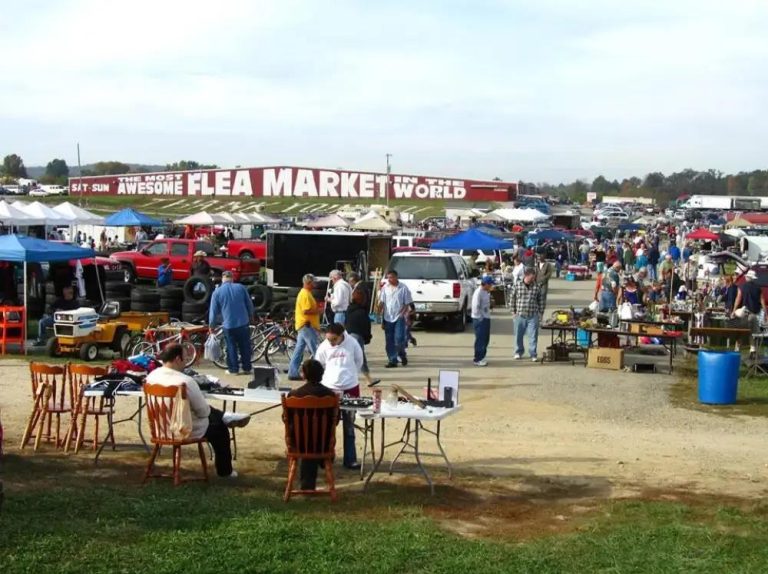 Crowd of shoppers and vendors at Central Illinois Flea Market 2026 at Peoria Speedway with outdoor stalls and antiques on display