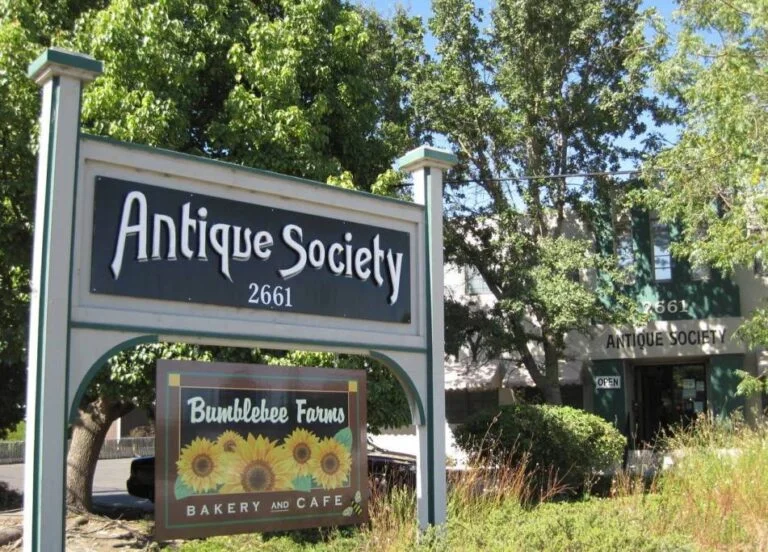 Interior view of Antique Society, a multi-vendor antique mall in Sebastopol, California, featuring curated dealer booths and vintage collectibles